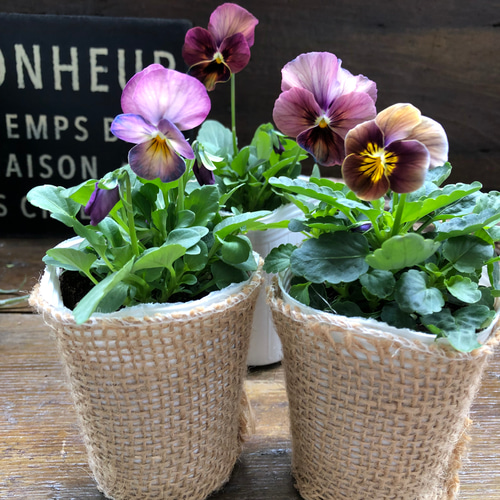 アンティーク♡ビオラ3個セット♡可愛い組み合わせ♡ アートフラワー