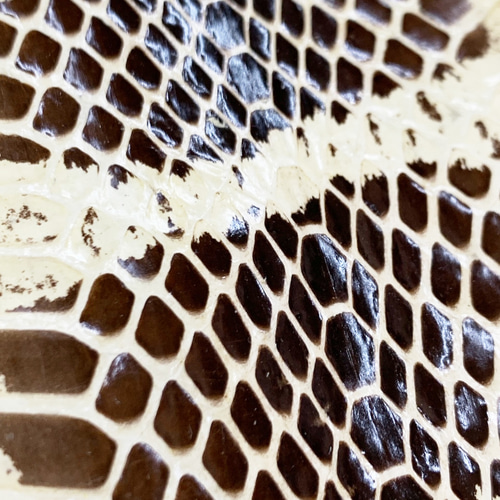 キングコブラレザー スネーク 蛇革 エキゾチックレザー その他素材