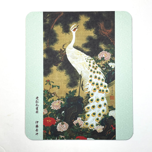 伊藤若冲 動植綵絵 老松孔雀図 高級仕様 掛軸 美術品 インテリア