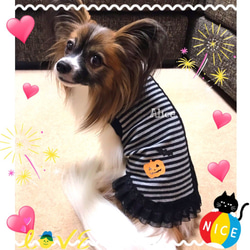 【犬】えらべる40色⭐トイプードル⭐ラメアイロンシールワッペンいぬステッカー素材パーツポーチ洋服リュック巾着バッグマーク 7枚目の画像