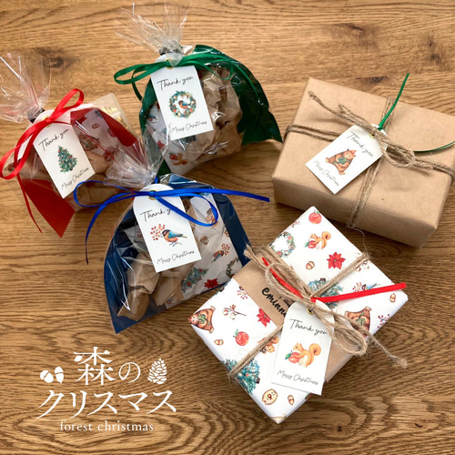 ✨️送料無料✨️100枚 ブックマーク タブ クリスマス ギフト 71vbci6LlCL._AC_UL210_SR210,
