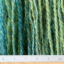 手洗い手染め手紡ぎ毛糸　【ペレンデール】（2022110401) 5枚目の画像