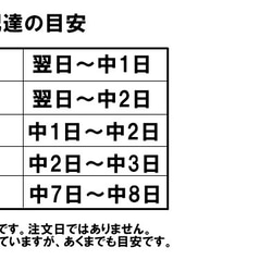 予約　おためし　コーヒー　モカ　イルガチェフェ100ｇ　初回限定　自家焙煎コーヒー 3月14日焙煎予定分　送料無料 10枚目の画像