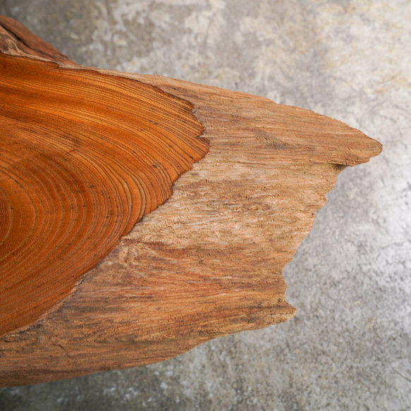 欅の古木 輪切りの分厚い一枚板 ローテーブル 7枚目の画像