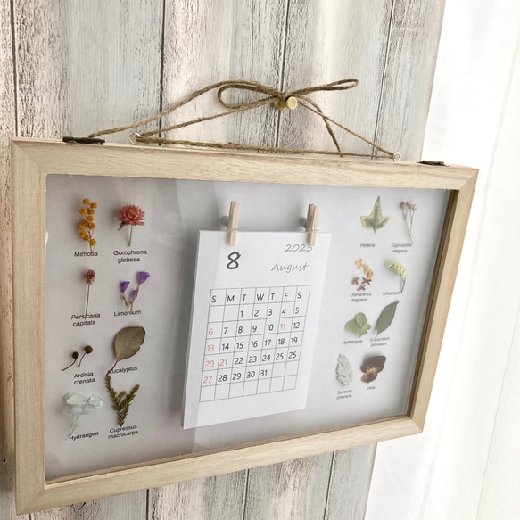 始まり選べる草花の2024カレンダー植物標本　飾れるカレンダー　壁掛けカレンダー　おしゃれカレンダー 5枚目の画像