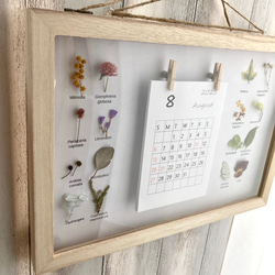 始まり選べる草花の2024カレンダー植物標本　飾れるカレンダー　壁掛けカレンダー　おしゃれカレンダー 7枚目の画像
