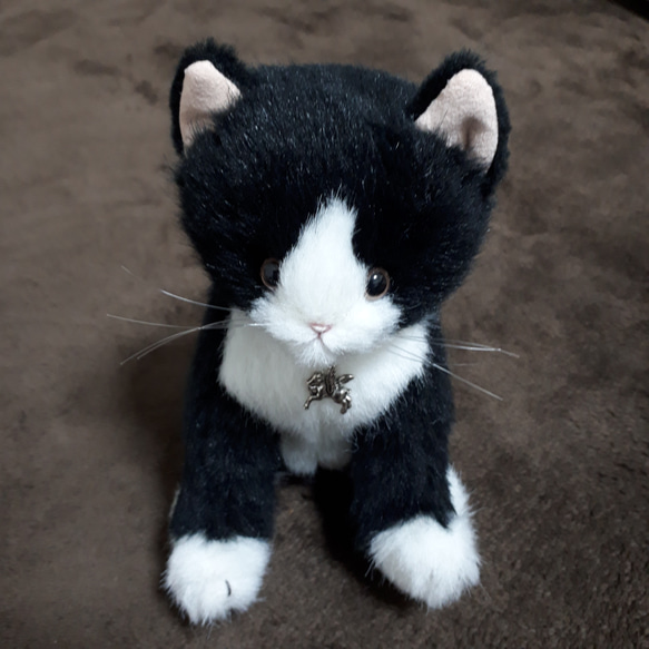 シャム猫ぬいぐるみ 首輪付き 赤い首輪のネコちゃん ぬいぐるみ Hiromi.M 通販 14949087｜Creema