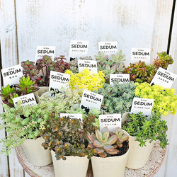 51d6b34881b6e65ca6dbffa12e2a7c