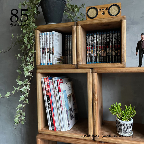 ユニットボックス】Lサイズ Wild & Free 組み合わせ 使い方は自由！ 棚