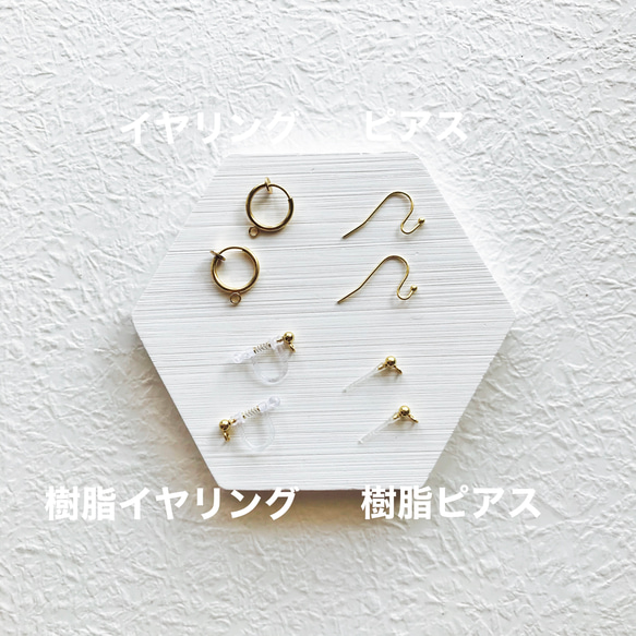 Patorinia  淡水パール 3枚目の画像