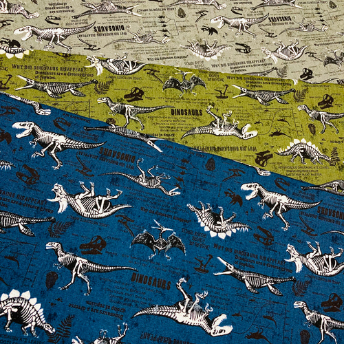 柄が選べる】恐竜マスク2枚セット！快適キッズマスク 子供用3