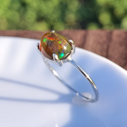 4e864746312b15ac638b83ff6904b5