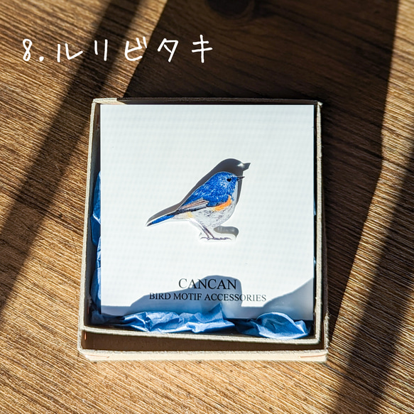 選べる野鳥樹脂ピンブローチ　鳥モチーフ 10枚目の画像