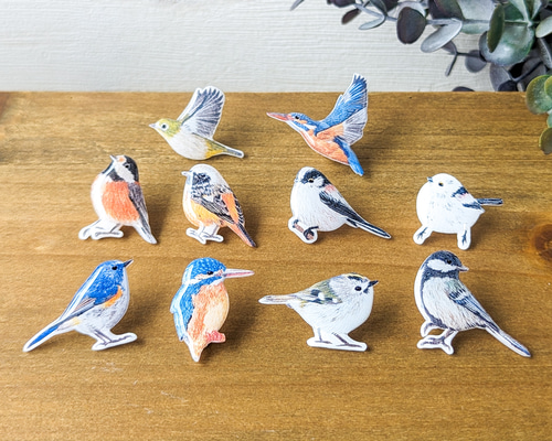 選べる野鳥樹脂ピンブローチ 鳥モチーフ ピンバッチ cancan 通販 選べる野鳥樹脂ピンブローチ 鳥モチーフ ピンバッチ cancan 通販
