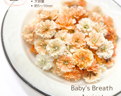 7ad9e0dd4333e56ffc22d90d0b2e3d