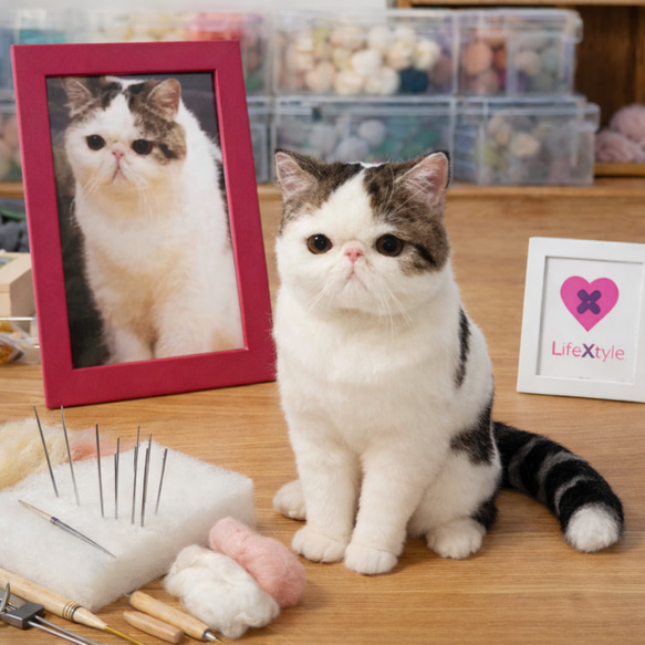 羊毛フェルト そっくり ペット オーダーメイド｜写真から作る ペット
