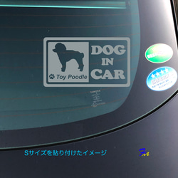 トイプードル DOG IN CAR② ステッカー 2枚目の画像