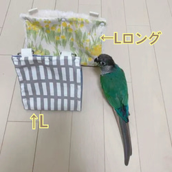 【L】選べる裏地◎丸洗いできるバードテントL  オカメ インコ ウロコインコ 中型インコ 小鳥のベッド モコモコ 6枚目の画像