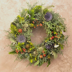 ネイティブフラワー：ドライアンドラ フォルモーサのリース リース