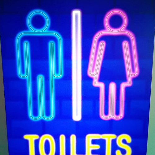 トイレ お手洗い 便所 レストルーム トイレピクト サイン 看板
