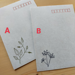 植物デザイン封筒（3枚入り・2種） 3枚目の画像