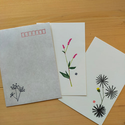植物デザイン封筒（3枚入り・2種） 8枚目の画像