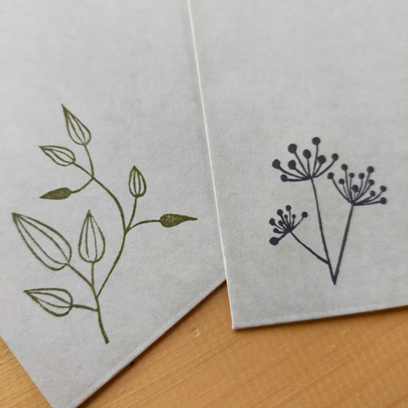 植物デザイン封筒（3枚入り・2種） 2枚目の画像
