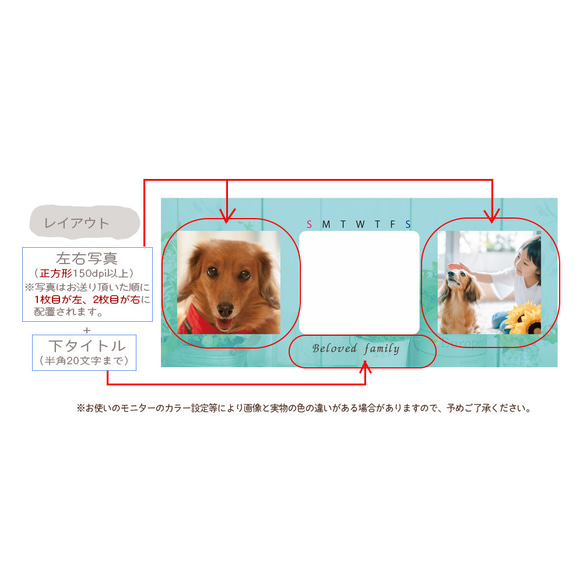 万年 カレンダー オーダー ずっと使える 写真印刷 選べるカラー 記念日 初孫 ペット ギフト XB005 6枚目の画像