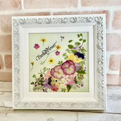 ede9f85b911bbb3a36b8dff67d68b6