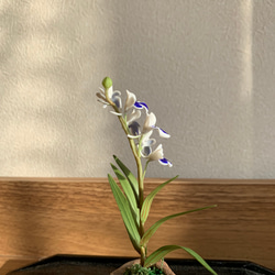 粘土の花ミニミニランラン夢千鳥 3枚目の画像