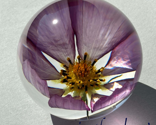 コスモス様ご確認用ページ レジンで写真チャーム オーダー品 コスモス