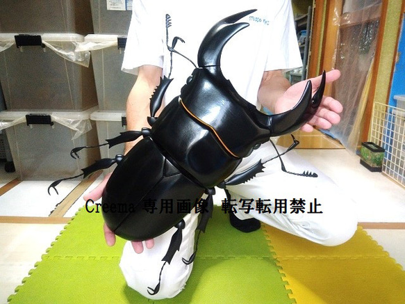 Amazon | BACALYSO | 涅槃 1/1 サイズ インターメディアツヤ
