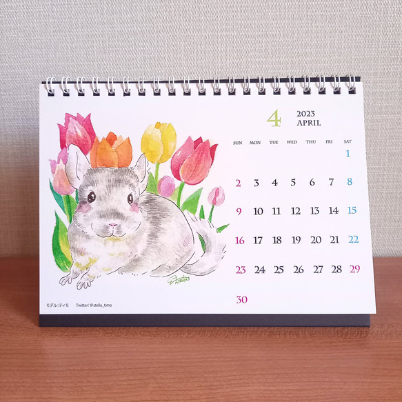 卓上B6サイズ　チンチラカレンダー　2023【四季折々の花とチンチラの水彩イラスト】 9枚目の画像