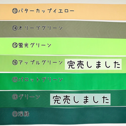 【送料無料 カスタマイズ】ビッグダブルリボン グリーン系 ドロップチャームビジューセンターパーツ オタ活 発表会 11枚目の画像