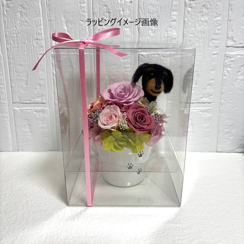 ちょこんと顔出す ダックスフンド（右側）＆ プリザーブドフラワー