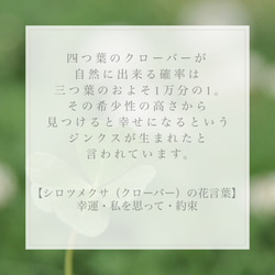 幸せを呼ぶ　四つ葉のクローバーのネックレス　 5枚目の画像