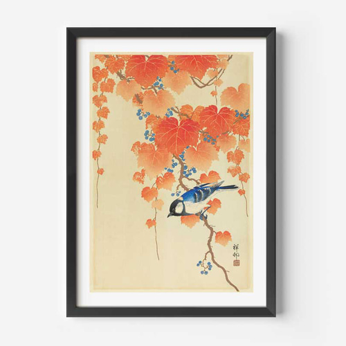 小原古邨、シジュウカラ、和モダンだけじゃない、応用が利く和柄