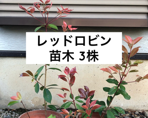 27f923a242d723e05045664e64d026