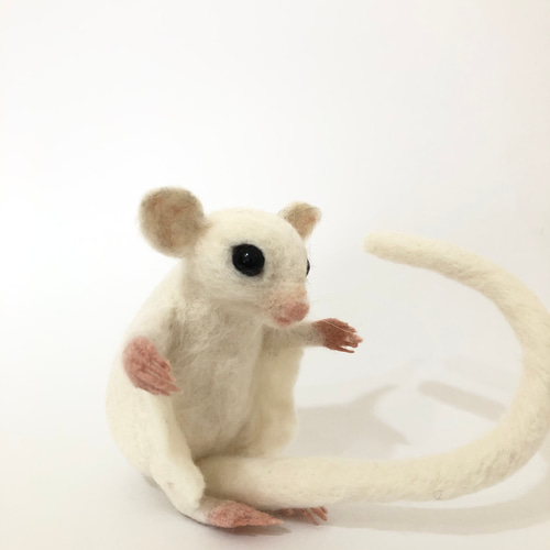 Y様 オーダー作品 ② 白フクロモモンガ 羊毛フェルト 華梨 通販