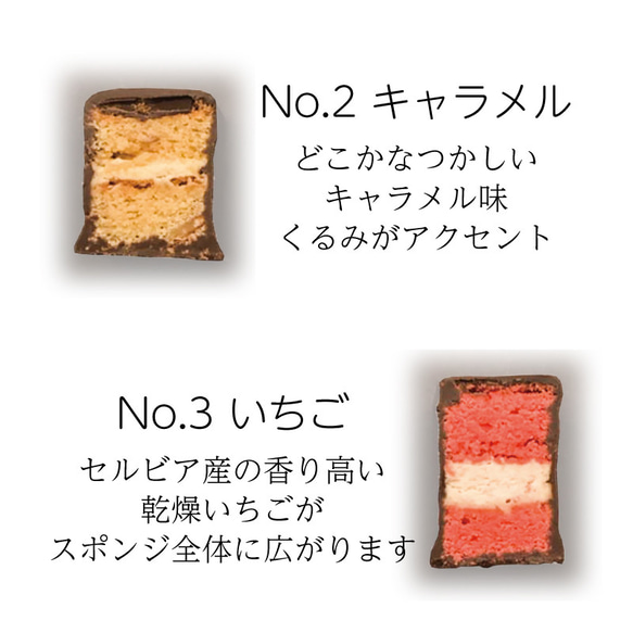 チョコレートバー（10本セット/化粧箱入） 6枚目の画像