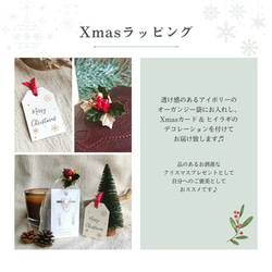 【Creema限定クリスマス2023】【送料無料】【X'masラッピング カード付】ピアス イヤーカフ set パール 19枚目の画像