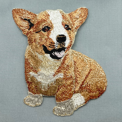 アップリケワッペン ウェルシュコーギー　kr-0027 犬　ドッグ 1枚目の画像