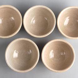汲み出し茶碗　透明釉　トンボ絵　五客組　【商品番号：00049】 3枚目の画像