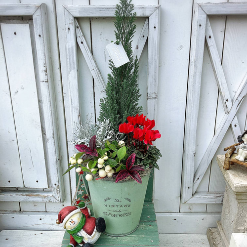 コニファーのクリスマス寄せ植え ブリキポット6号 その他インテリア