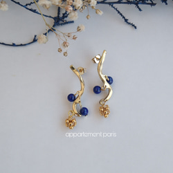 黃銅樹枝和堅果青金石耳環 第1張的照片