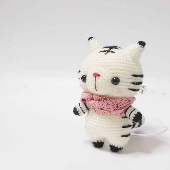 ホワイトタイガーのあみくまにゃん、ピンクの首巻がお気に入り