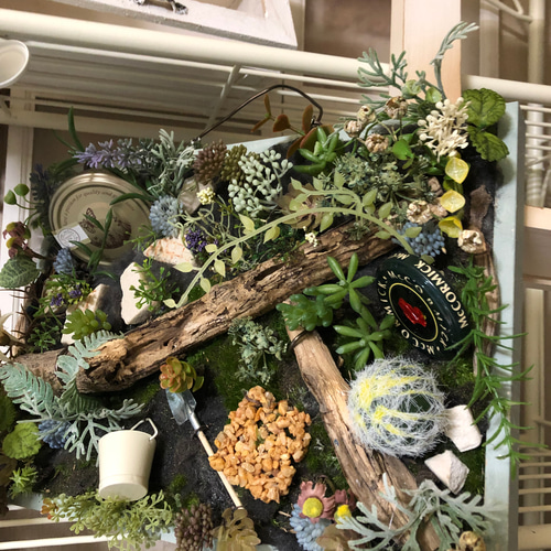 フレーム、箱庭、多肉植物、オブジェ、フェイク、水やり不要