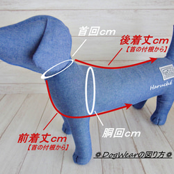 犬服　❁セミオーダー❁　ふんわり裏起毛ニット　ワインボーダー　★再販★ 8枚目の画像