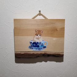 ティーカップの猫 2枚目の画像
