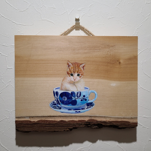 winnieページ　ティーカップキャット　長い猫 ティーカップ猫 種類 winnie様専用ページ ティーカップキャット